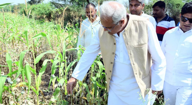 BJP Leader Arrested For Cultivating Opium in His Farmhouse