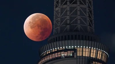 Total Lunar Eclipse: When and Where to Watch in India
