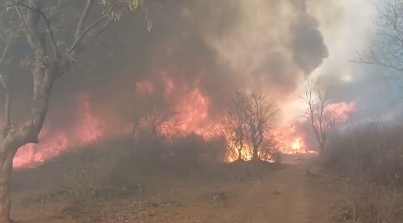 Forest Fire Broke Out in P-839 & P-840 of Dewalaha Beat