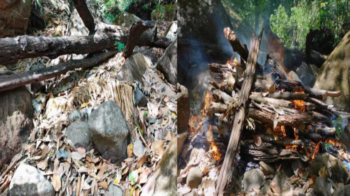 Tiger Found Dead in Satpura Tiger Reserve, Natural Death Suspected