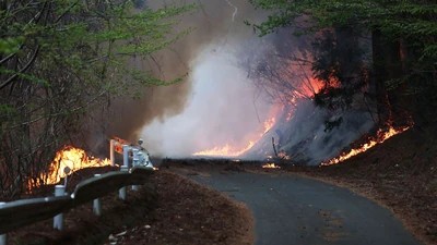 Japan Contains One of Its Biggest Wildfires After 11-day Battle