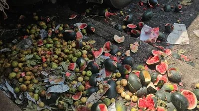 Teen Dies After Eating Watermelon in Chhattisgarh; Probe Underway
