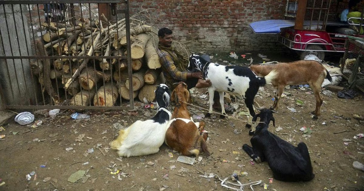 Varanasi Seals Decades-old Goat Market Ahead of Bakrid
