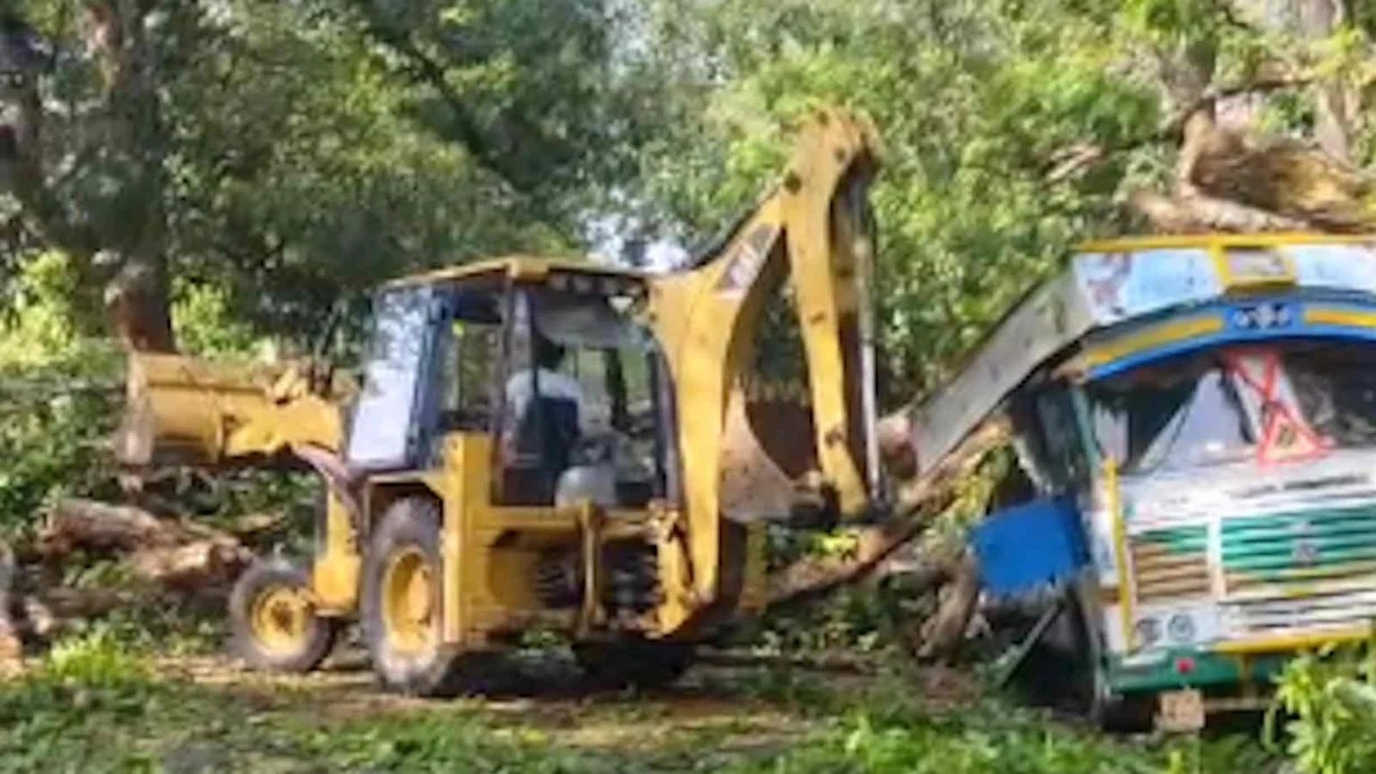 Fallen Tree Blocks Truck, Halts Traffic on Jagdalpur-Sukma Highway