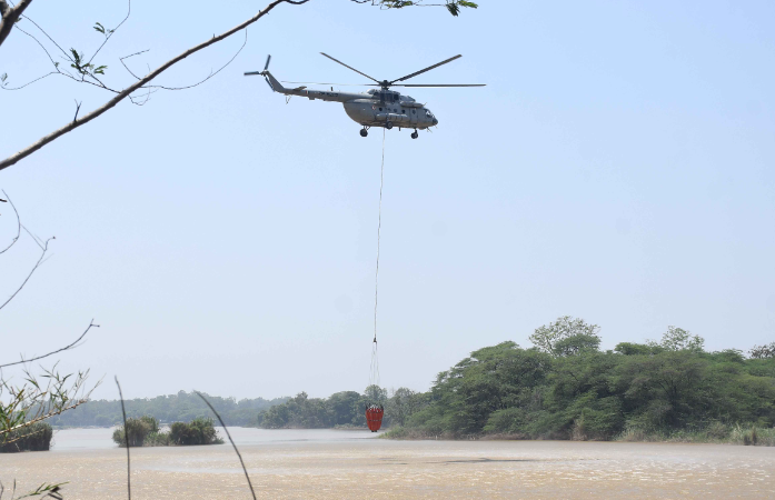 bambi bucket