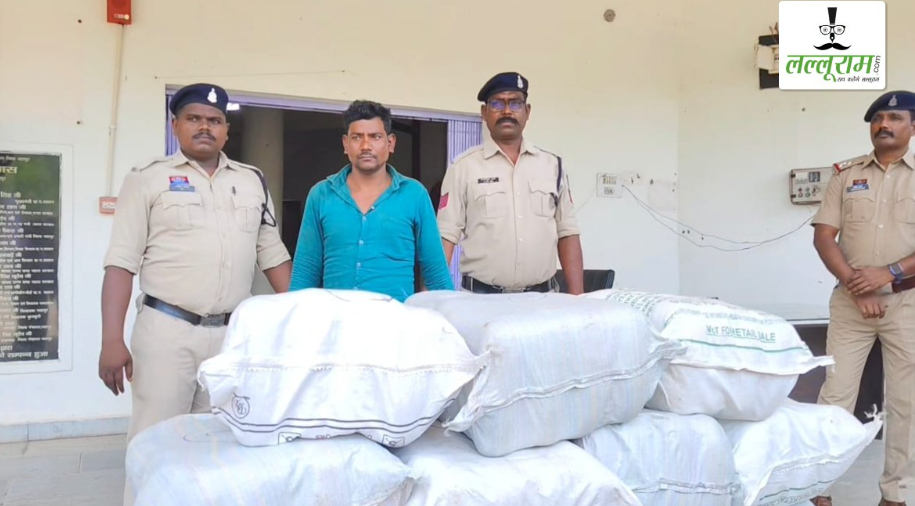 Jashpur Police Seizes Marijuana Worth Rs1 Crore
