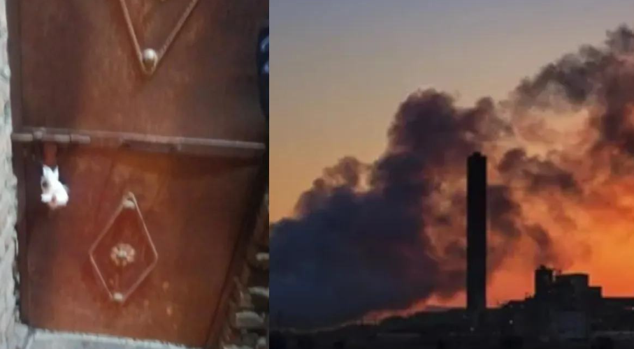 6 Illegal Factories Sealed For Causing Pollution in Delhi