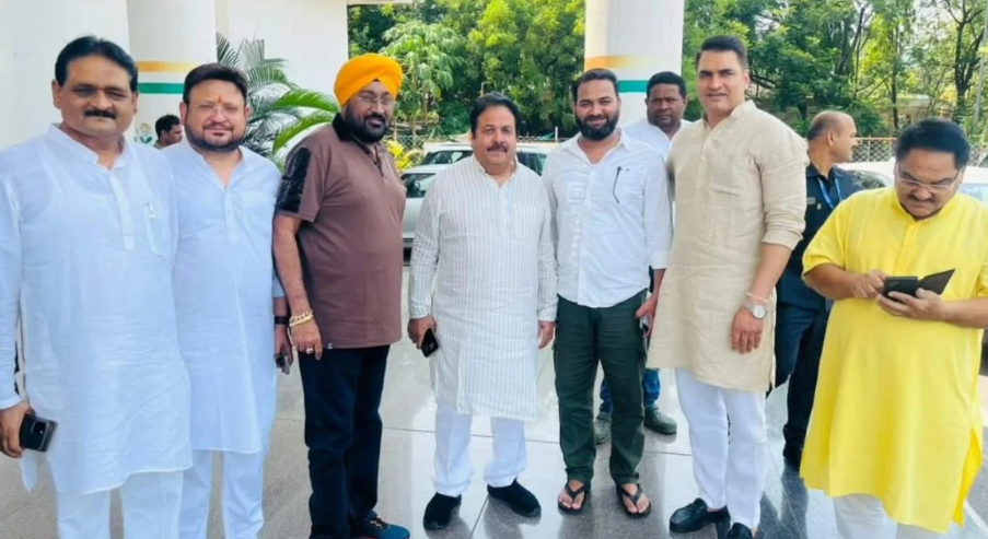 BCCI vice president
