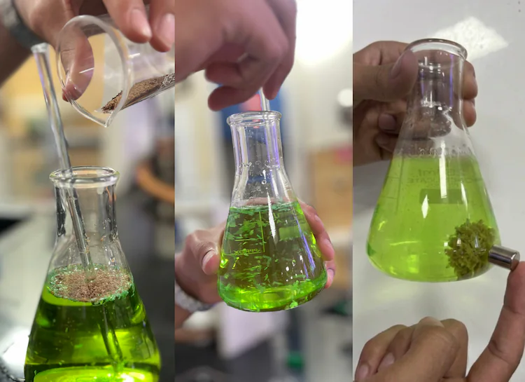 Plas-Stick: a natural magnet to extract microplastics from water