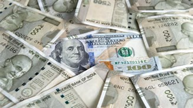 Rupee rise cushioned by central bank; Closes at 94.65 against the US dollar