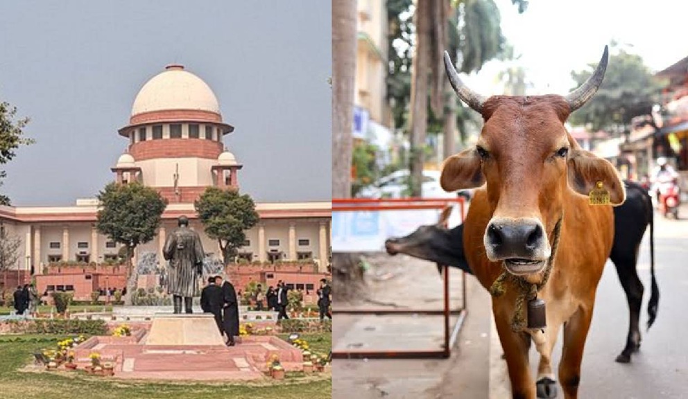 Supreme Court stays Madras High Court order on cow slaughter ban in Tamil Nadu