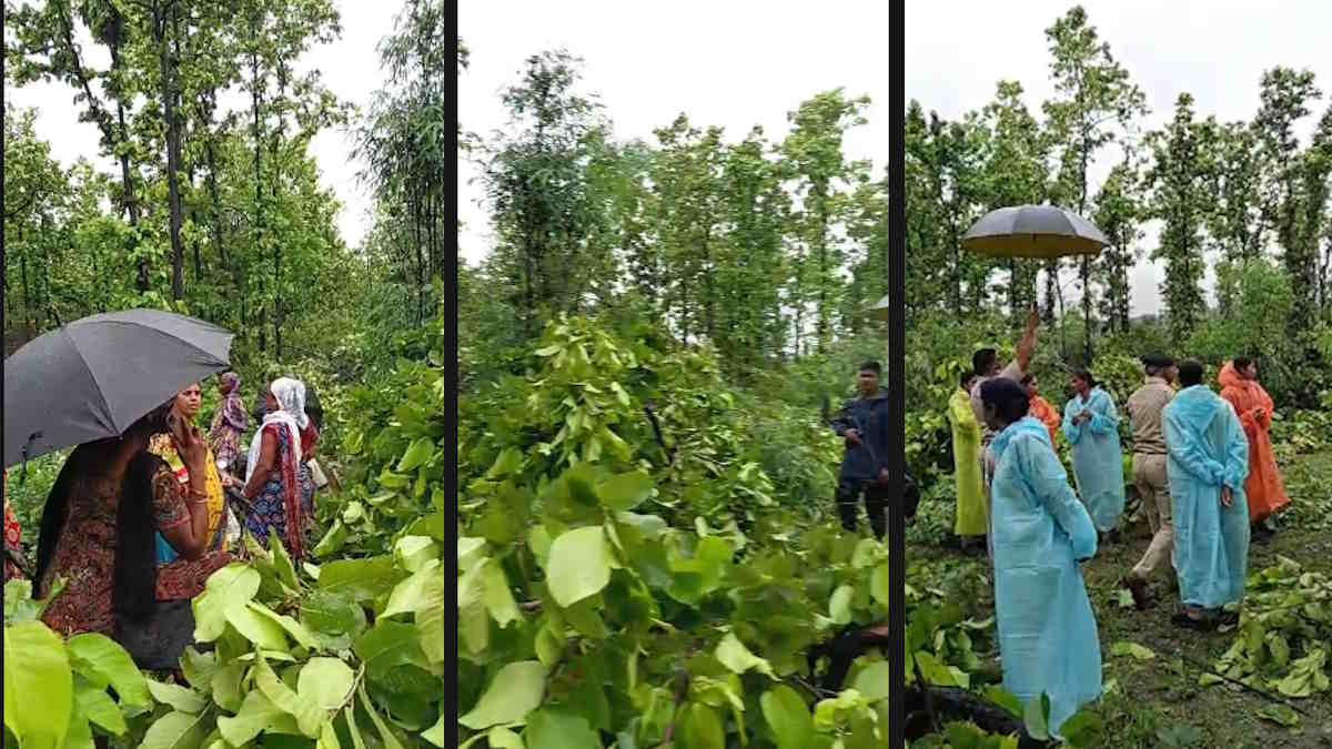 Villagers protest as tree felling begins for Jindal Coal Mine in Raigarh