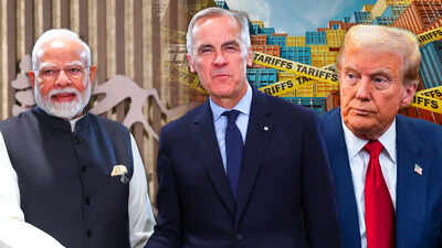 India could be the quiet winner in the US-Canada trade fight — Here’s the data