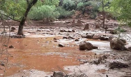 20+ People feared missing after flash flood hits Grand Canyon