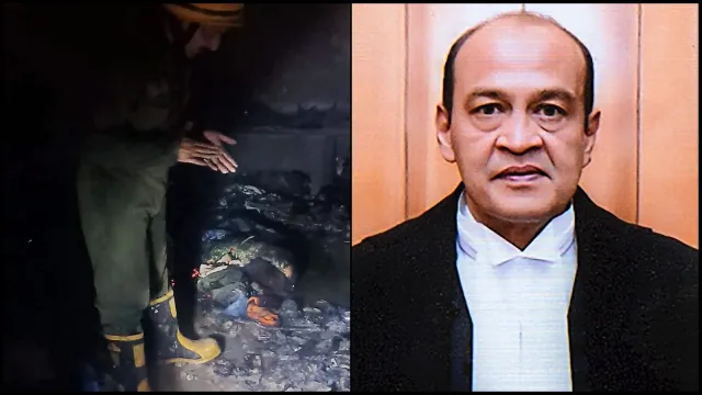 Former Delhi HC Judge Yashwant Varma failed to explain cash found at residence: Panel Report