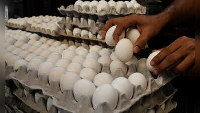 Will eggs cost more this winter? Blame the ethanol boom