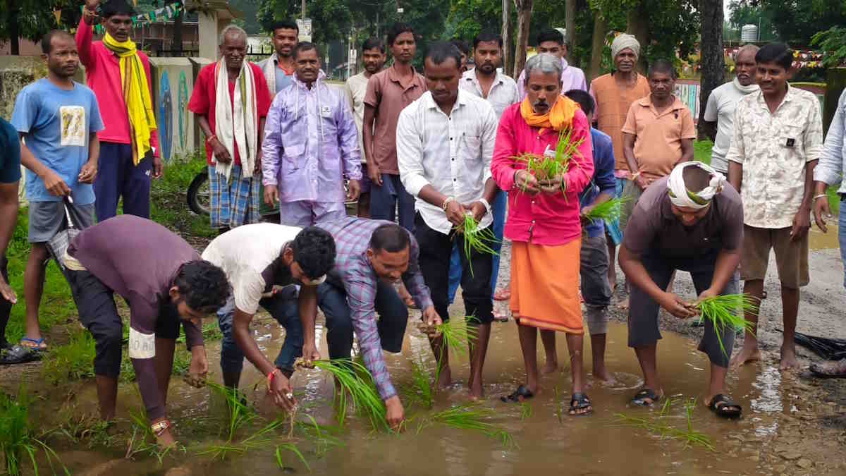 Villagers protest poor PMGSY road in Mainpur, plant Paddy in potholes