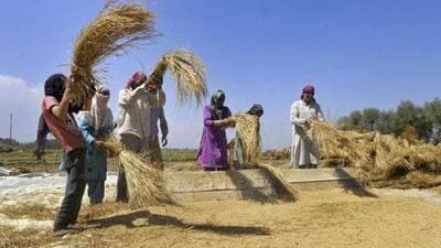 India has largest cultivated area in BRICS but lags China in crop yields