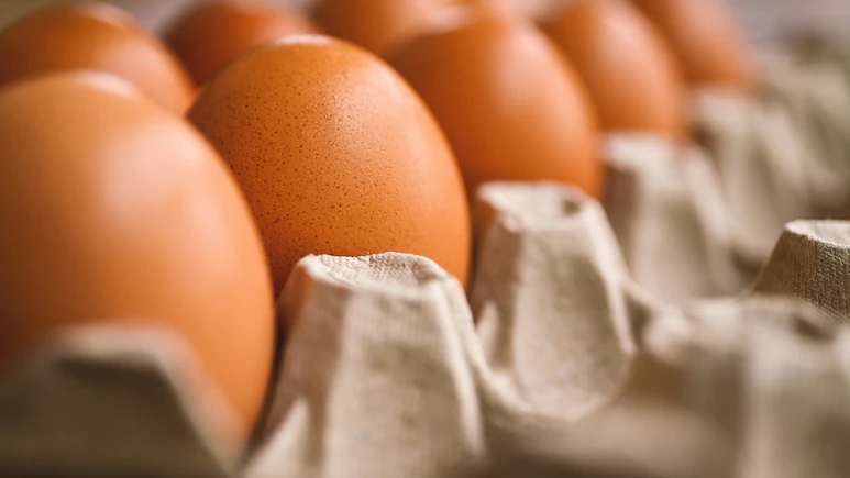 Egg prices rise 40% in India, Maize demand for Ethanol may push rates higher this Winter